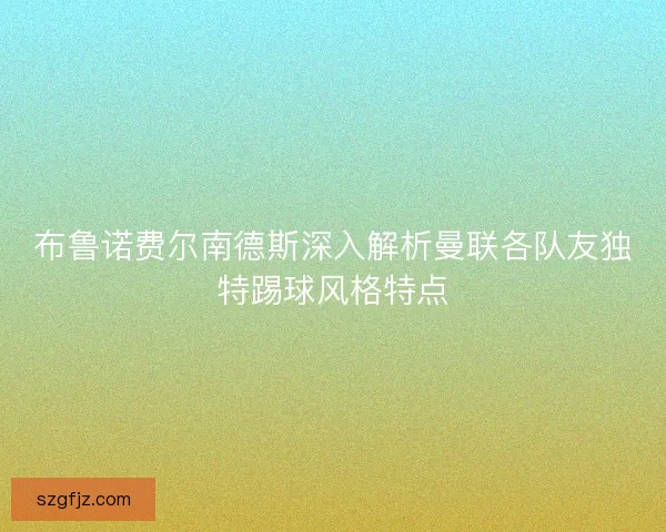 布鲁诺费尔南德斯深入解析曼联各队友独特踢球风格特点